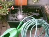 Garten Bew�sserung