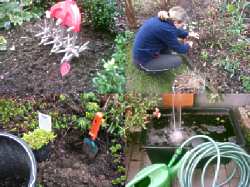 Grundlagen Garten Pflege Gartenwissen Gartenpraxis