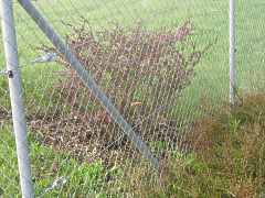 Gartenzaun Maschendraht Edelstahl Aluminium