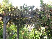 Garten Pergola Stahl Metall Pergola Eisen Bau Pergola Aluminium