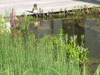 Terrasse aus Holz Douglasie Holzfliesen