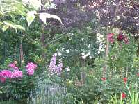 Naturnahe Garten Gestaltung